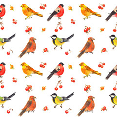 Watercolor colorful christmas pattern with forest birds and berries. With transparent layer.