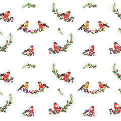 Watercolor colorful Christmas pattern with forest birds and  branches tree. With transparent layer.