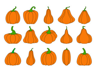 A set of pumpkins of various shapes, with a black outline. Vector collection of hand-drawn pumpkins on a white background. Elements for autumn decorative design, an invitation to Halloween.