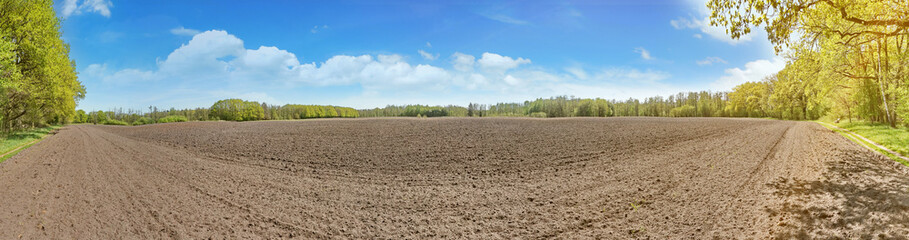 Farmland in Spring - Field with Trees Panorama.
