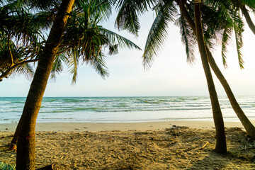 sea beach with coconut palm tree at sunset time