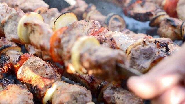 Home-made meat pork shashlik with vegetables on grill fire on a sunny day, close-up. Picnic. Tasty BBQ food