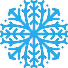 Illustration Snowflake Icon