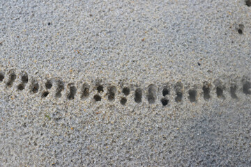 White sand with a pattern formed by rain drops