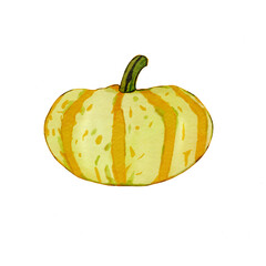 pumpkin isolated on white background