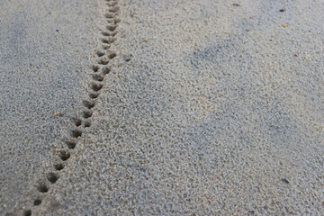 White sand with a pattern formed by rain drops