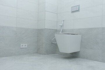 Fototapeta na wymiar Modern toilet with hygienic shower