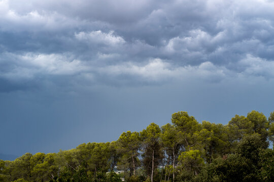 Intense rain storm in the mountains of the Collserola natural park in the province of Barcelona in Catalonia Spain