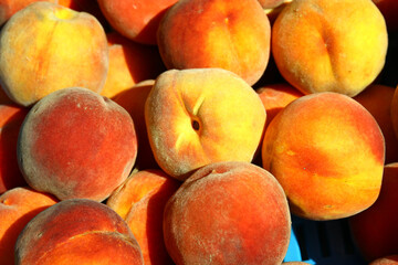 Picked peaches for sale.