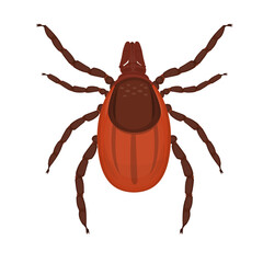 Mite. Insect tick, vector illustration