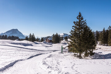 Fototapeta na wymiar Winter landscape on the Schwaegalp, Canton of Appenzell-Ausserrhoden, Switzerland