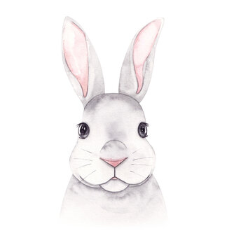 Hand drawn watercolor portrait of a bunny rabbit