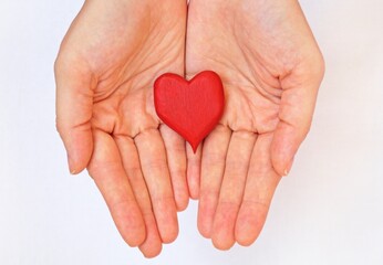heart in hands