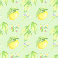 Watercolor seamless  lemon and  lemon flowers pattern  on light green background.Good for textile,fabrics.