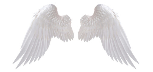 Fototapeta white angel wing isolated for design obraz