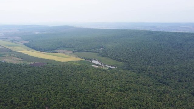 Shooting from drone panorama of green forest fields meadows with flowers herbs trees summer weather outdoors travel .
