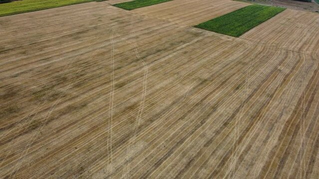 Splendid scene of agricultural land in summer. Footage from a bird's eye view. Agronomic industry. Cinematic drone shot. Filmed in UHD 4k video. Beauty of earth.