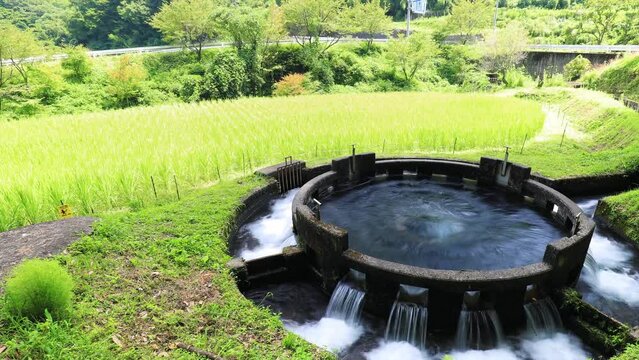夏の音無井路十二号円形分水　タイムラプス　ズームアウト　大分県竹田市