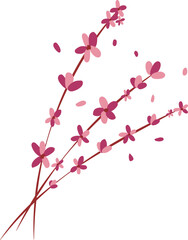 Cherry blossoms Flower Illustration Design Element Vector