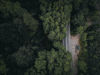 Obraz premium the road through the tree tunnel