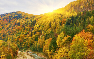 mountain autumn landscape with colorful forest