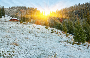 Amazing scene on autumn mountains. First snow and orange trees in fantastic morning fog. Carpathians, Europe.