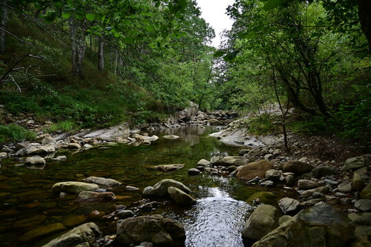 「Hayas」の画像 - 1,299 件の Stock 写真、ベクターおよびビデオ | Adobe Stock