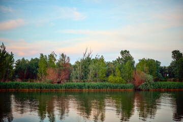 Obraz premium a beautiful landscape from the Danube delta with water and vegetation