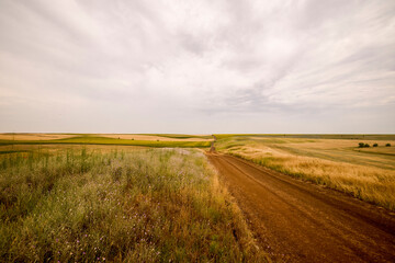 a landscape with hills and pastures in June