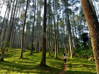 Batu kuda at manglayang mountain