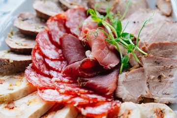 meat delicacies on a plate decorated with micro greens. 