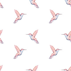 Seamless watercolor pattern with tropical hummingbirds. Hand painted boho background. High quality illustration