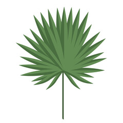 A tropical leaf isolated on a white background.Vector illustration.