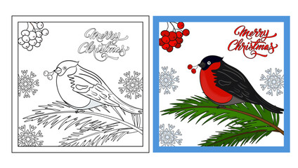 Christmas, New Year card with bullfinch. Colored postcard with a bird as a sample for coloring a postcard template