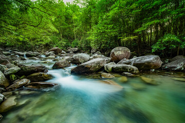 Naklejka na ściany i meble Stream in the forest, Jing'an, China