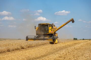 Fototapeta premium Harvest in Poland, a combine harvester during the harvest season while working on a sunny day, Rozborz, county Podkarpackie, Poland, 7th of August, 2022