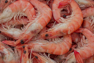 A background of fresh prawns for sale at a market