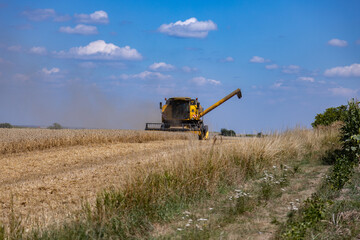 Harvest in Poland, a combine harvester during the harvest season while working on a sunny day,...