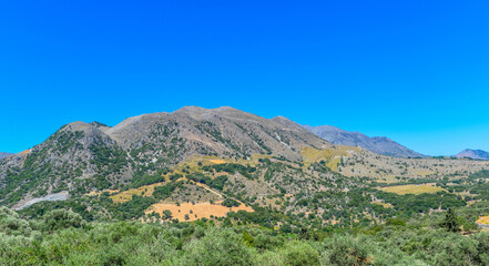 Olivenhain Nähe Argyroupoli (Rethymno) Nordkreta