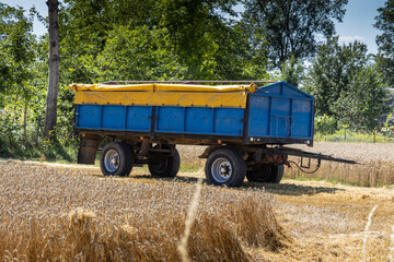 Fototapeta premium Harvest in Poland, a combine harvester during the harvest season while working on a sunny day, Rozborz, county Podkarpackie, Poland, 7th of August, 2022
