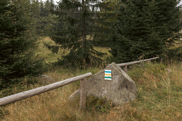Blue, yellow and green trailblazing symbols on a stone in Karkonosze mountains