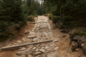 Rocky mountain path in Karkonosze National Park