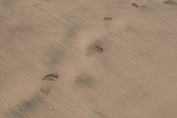 Gold desert Sand texture on the beach