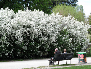 Grandparents couple sitting in a public park on spring day.
