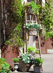 outdoors garden plants and scale shop.