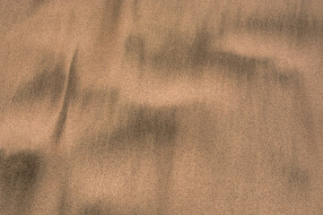 Gold desert Sand texture on the beach