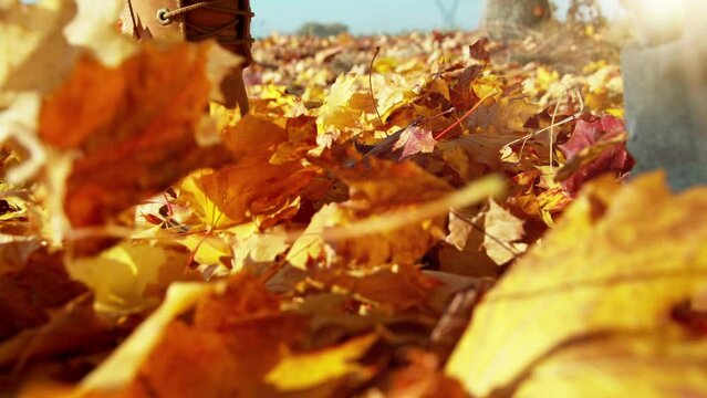 Super slow motion of man walking in autumn leaves. Filmed on high speed cinema camera, 1000 fps. Speed ramp effect.