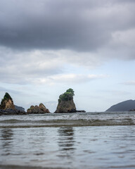 A cluster of rocks at the bottom of the sea. Rocks with trees on top.