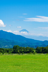 【山梨県】清里高原の牧場風景と富士山