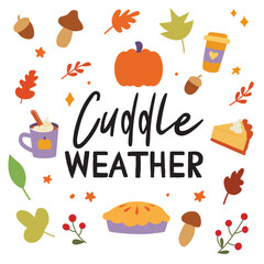 Cuddle weather sign with autumn elements. Vector Thanksgiving quote on white background.